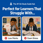 Business Studies Study Guide